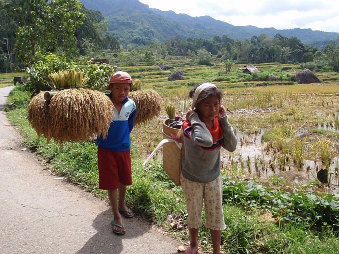 Children’s working on rice terraces – amazing picture, I will never forgot.