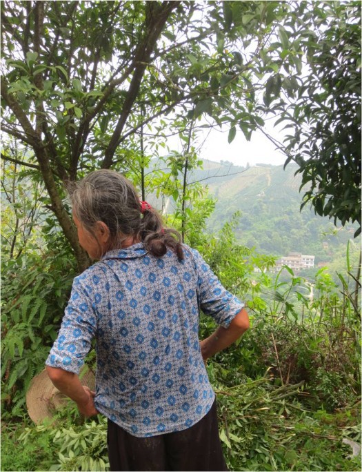 Brave woman with different kinds of herbs