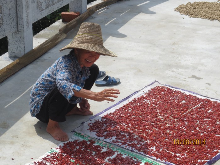 Hardworking woman with chili peppers and peanuts