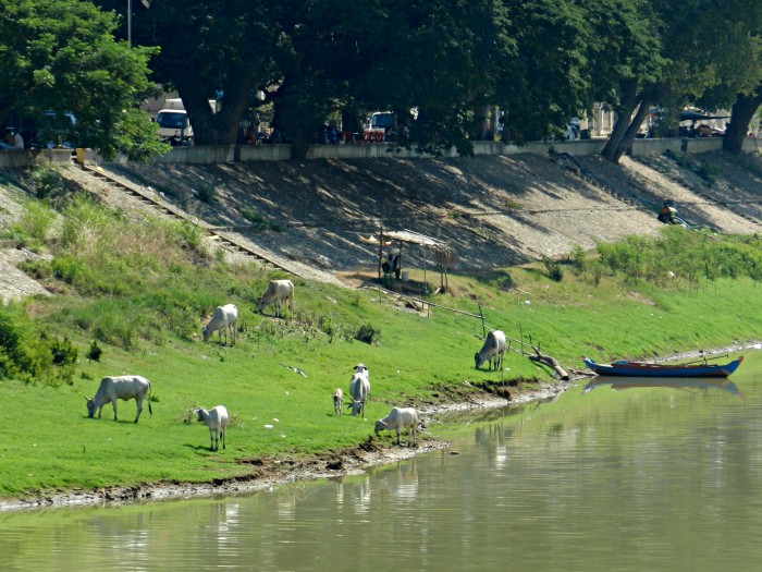 Riverside is full of surprises. Central Battambang, Sangkae River.