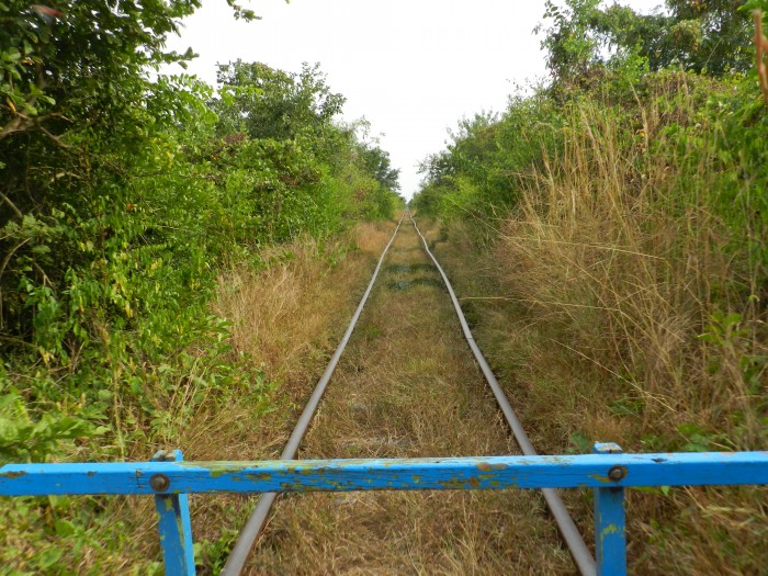 Bamboo Train is fun.