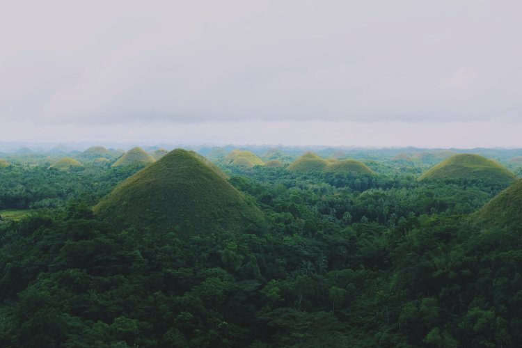 chocolate hills in bohol