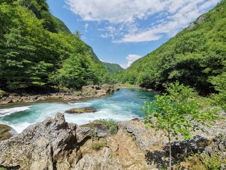 amazing bosnian nature