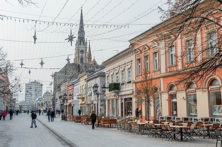 what to do in novi sad serbia