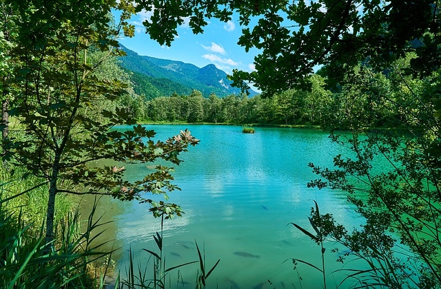 fishing in slovenia