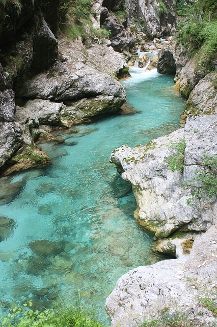 fishing in slovenia